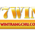 Yo 77win!