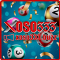 Yo Xoso333!