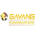Yo gavangtv!