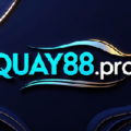 Yo Quay!